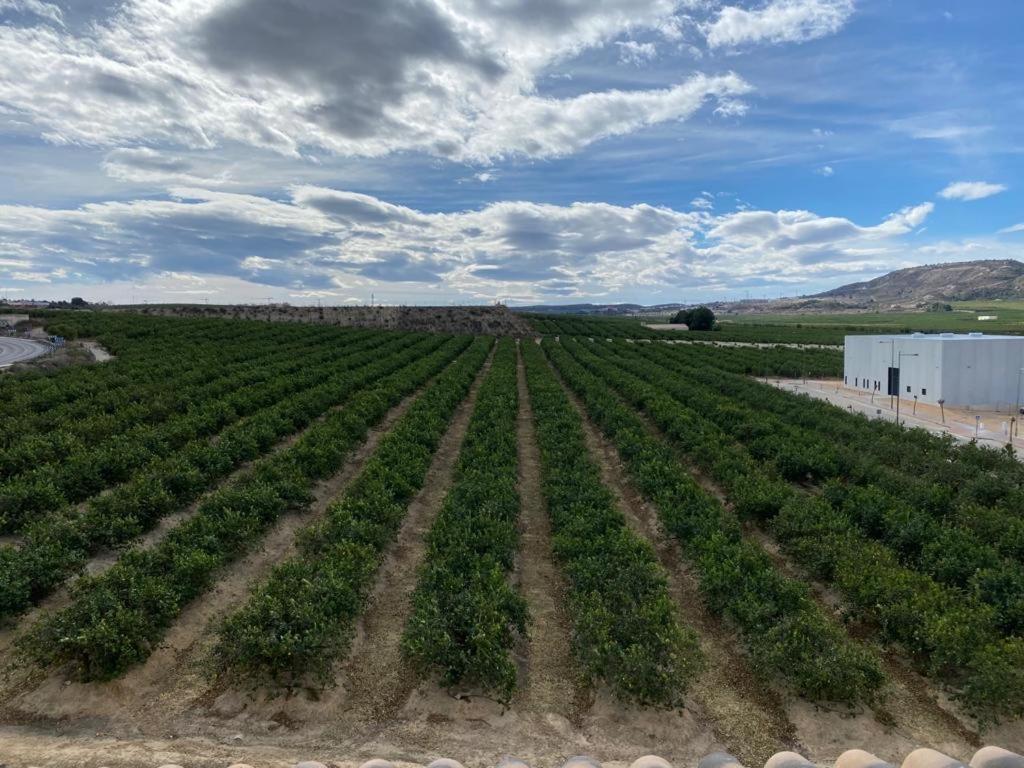 Casa Amarela Guesthouse, Algorfa Kültér fotó