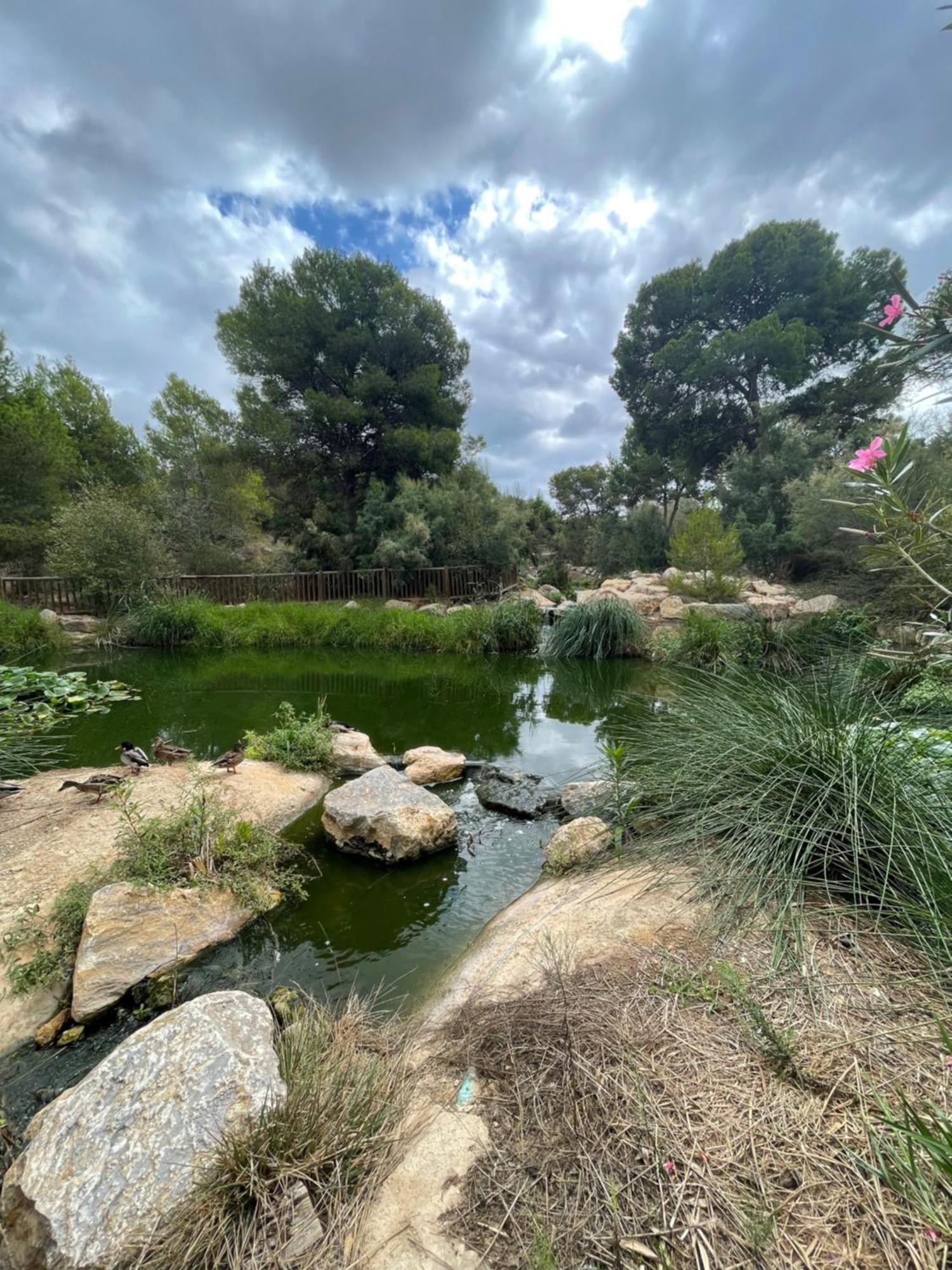 Casa Amarela Guesthouse, Algorfa Kültér fotó